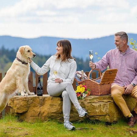 Wellness Apartmány Martiňák Horní Bečva Exterior foto